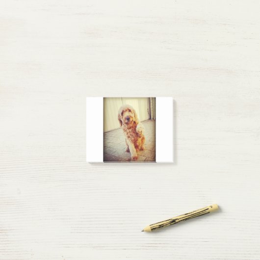 labradole post-it® notes (Op bureau)