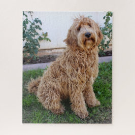 Labradole Puppy Dog Legpuzzel