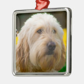 Labradole Puppy Dog Metalen Ornament (Links)