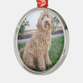 Labradole Puppy Dog Metalen Ornament (Links)
