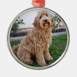 Labradole Puppy Dog Metalen Ornament