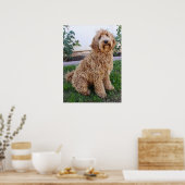 Labradole Puppy Dog Poster (Keuken)