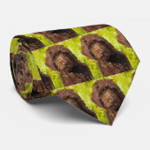 labradole stropdas (Opgerold)