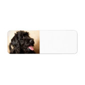 labradole zwart etiket (Voorkant)