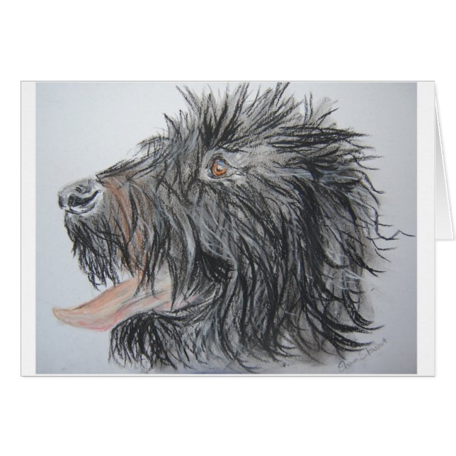 Labradoodle (Voorkant Horizontaal)