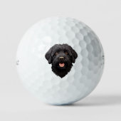 Labradoodle Black Dog Golfballen (Voorkant)