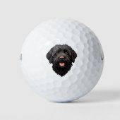 Labradoodle Black Dog Golfballen (Voorkant)