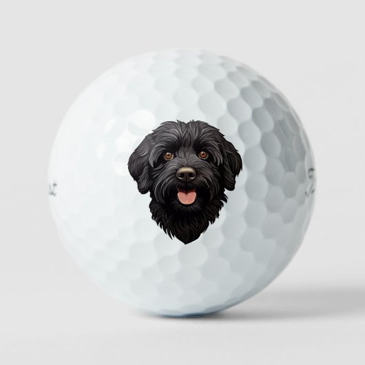 Labradoodle Black Dog Golfballen (Voorkant)