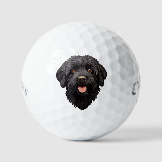 Labradoodle Black Dog Golfballen (Voorkant)