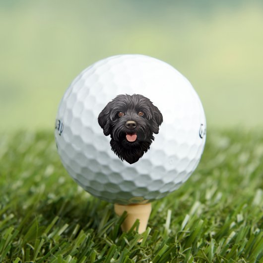 Labradoodle Black Dog Golfballen (Insitu Shirt)