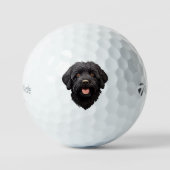 Labradoodle Black Dog Golfballen (Voorkant)