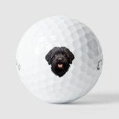 Labradoodle Black Dog Golfballen (Voorkant)