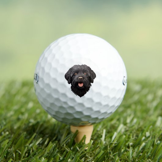 Labradoodle Black Dog Golfballen (Insitu Shirt)