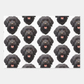 Labradoodle Black Dog Inpakpapier Vel (Voorkant 3)