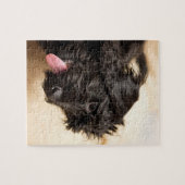 Labradoodle black jigsaw puzzle legpuzzel (Horizontaal)