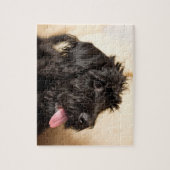 Labradoodle black jigsaw puzzle legpuzzel (Verticaal)