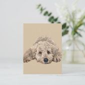 Labradoodle Briefkaart (Staand voorkant)