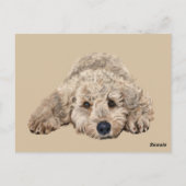 Labradoodle Briefkaart (Achterkant)
