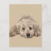 Labradoodle Briefkaart (Voorkant)