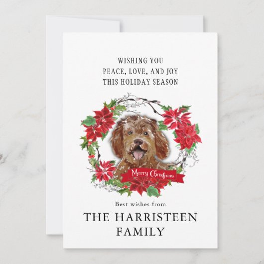 Labradoodle bruine Waterverf Poinsettia Kerst Feestdagenkaart (Voorkant)