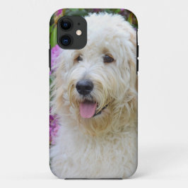 Labradoodle Case-Mate iPhone Case