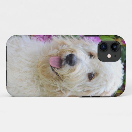 Labradoodle Case-Mate iPhone Case (Achterkant (horizontaal))