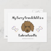 Labradoodle Chocolate Briefkaart (Voorkant / Achterkant)