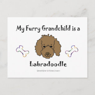 Labradoodle Chocolate Briefkaart