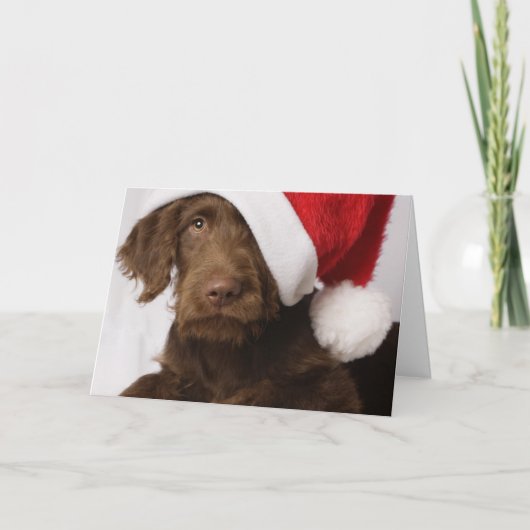 Labradoodle die een pet van de Kerstman dragen Feestdagen Kaart (Voorkant)
