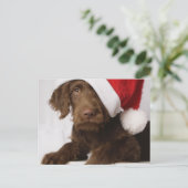 Labradoodle die een pet van de Kerstman dragen Feestdagenkaart (Staand voorkant)