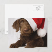 Labradoodle die een pet van de Kerstman dragen Feestdagenkaart (Voorkant / Achterkant)