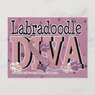 LabraDoodle DIVA Briefkaart