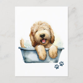 Labradoodle Dog Briefkaart