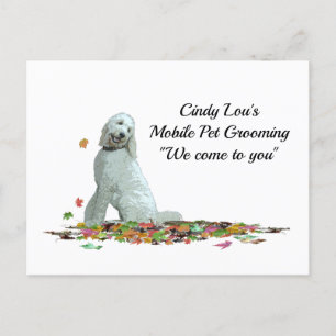 Labradoodle Dog in Leaves Briefkaart