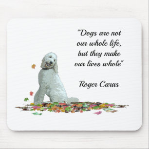 Labradoodle Dog in Leaves Muismat