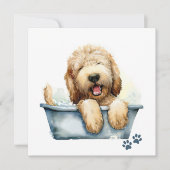 Labradoodle Dog Kaart (Voorkant)