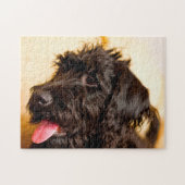 Labradoodle Dog. Legpuzzel (Horizontaal)