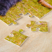 Labradoodle Dog. Legpuzzel (Zijkant)