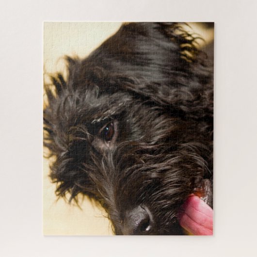Labradoodle Dog. Legpuzzel (Verticaal)