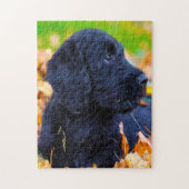 Labradoodle Dog. Legpuzzel (Verticaal)