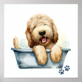 Labradoodle Dog Poster (Voorkant)