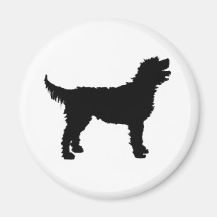 Labradoodle Dog (zwart) Magneet