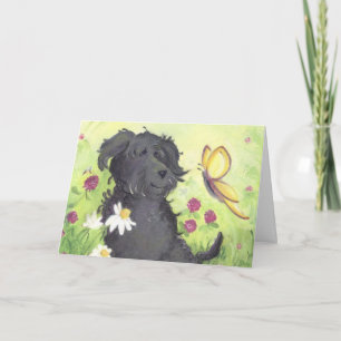 Labradoodle Doodle Dog / Get Well Wenskaart Kaart