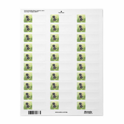 Labradoodle Doodle Hond / Retouradreslabel Etiket (Full Sheet)