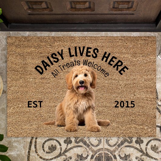Labradoodle Gepersonaliseerd Hondenliefhebber Deur Deurmat