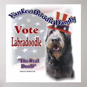 Labradoodle Gifts Poster