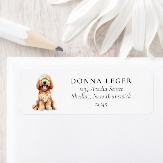 Labradoodle Goldendoodle Hondenadres Etiket (Insitu)