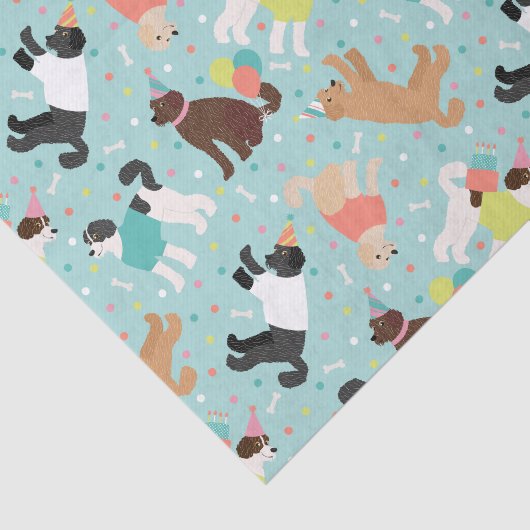 Labradoodle / Goldendoodle Verjaardagsfeest Tissuepapier (Detail)