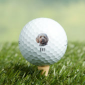 Labradoodle Golfballen (Insitu Shirt)