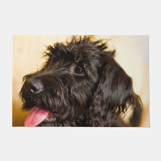 Labradoodle hond. deurmat (Voorkant)